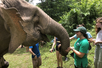 Sarah Honan '21 completed a summer Field Period® in Thailand. Her favorite part of the trip was hiking for elephants and getting to interact with them.